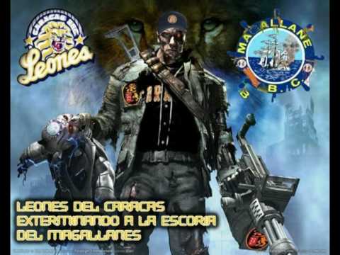 Imagenes chistosa de los tigres de aragua - Imagui