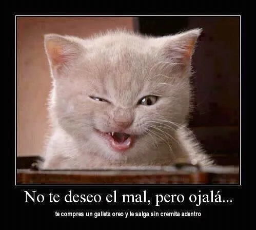 imagenes chistosas de animales con frases, imagenes chistosas ...