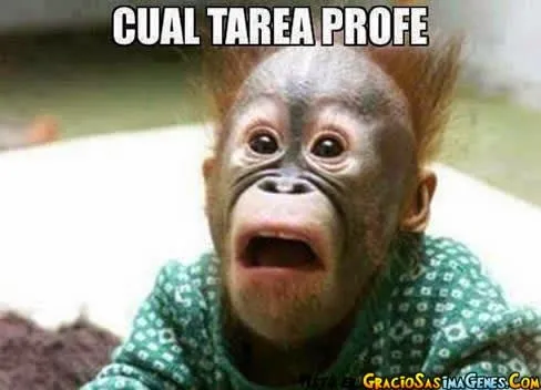 imagenes chistosas de animales con frases, imagenes chistosas ...