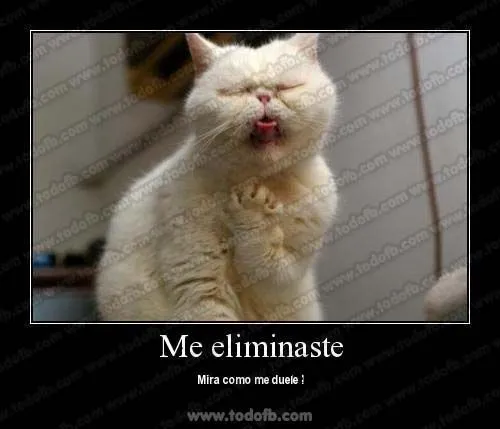 imagenes chistosas para el face gratis-imagenes-graciosas-facebook ... imagenes chistosas para el face gratis-imagenes-graciosas-facebook ...
