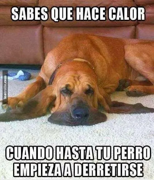 Ufff!! hace tanto calor! | Imagenes Chistosas Fail Ufff!! hace tanto calor! | Imagenes Chistosas Fail