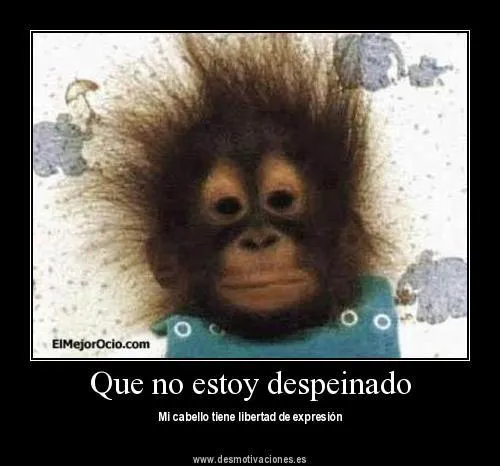 imagenes chistosas fb: Que No Estoy Despeinado