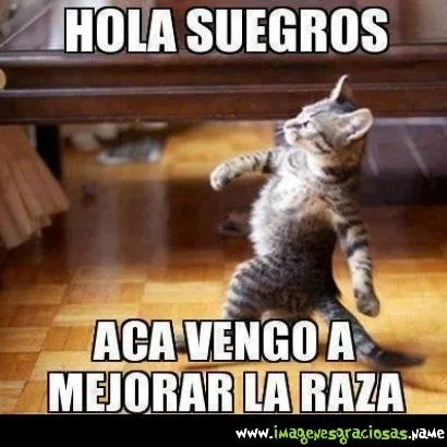 imagenes chistosas fb: hola suegros