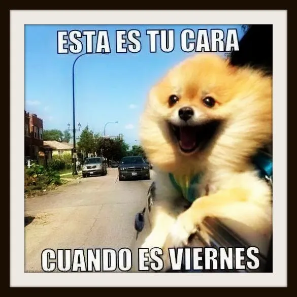 Imágenes chistosas con frases de risa y doble sentido ...