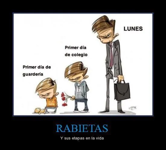imagenes chistosas , graciosas , divertidas; imágenes graciosas ...