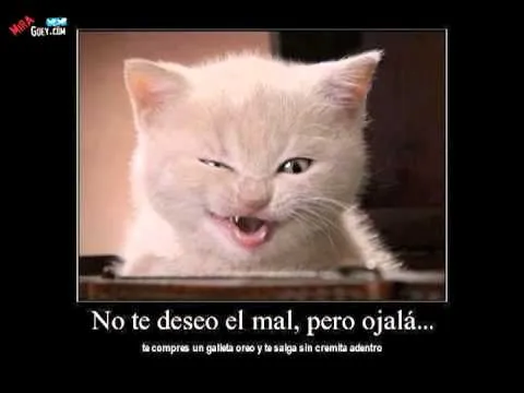 Imagenes chistosas Imagenes chistosas Caídas Videos para reír ... Imagenes chistosas Imagenes chistosas Caídas Videos para reír ...
