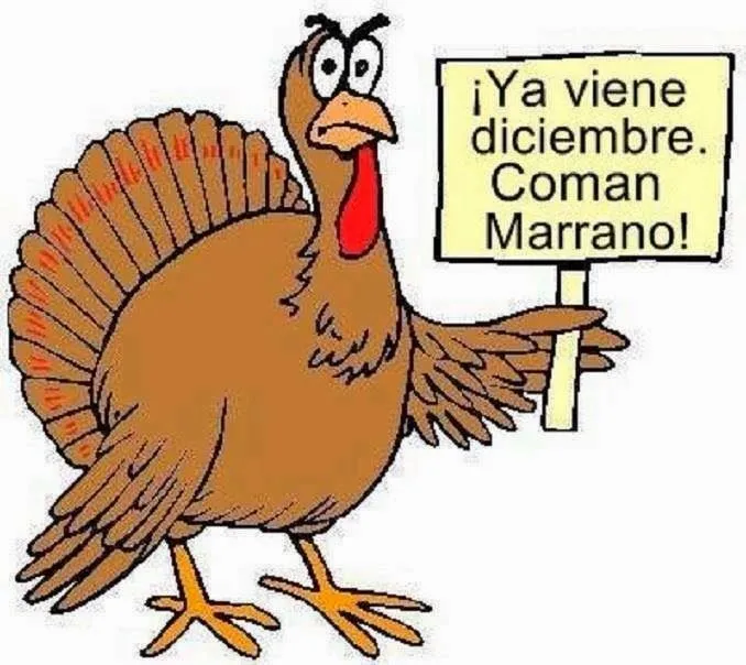 imagenes chistosas ,imagenes chistosas con frases , imagenes ...