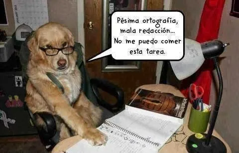 imagenes chistosas ,imagenes chistosas con frases , imagenes ... imagenes chistosas ,imagenes chistosas con frases , imagenes ...