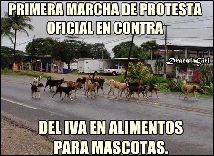 imagenes chistosas ,imagenes chistosas con frases , imagenes ...