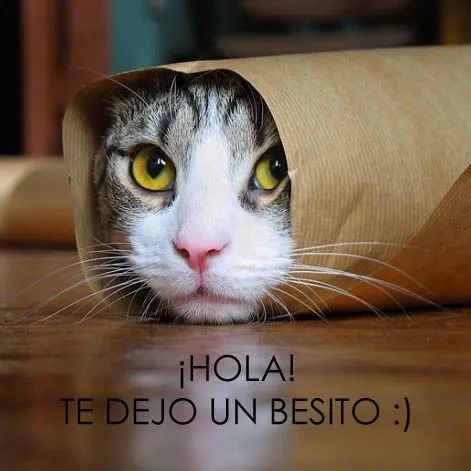 Imagenes Chistosas Con Movimiento | Imagenes De Amor Con ... Imagenes Chistosas Con Movimiento | Imagenes De Amor Con ...