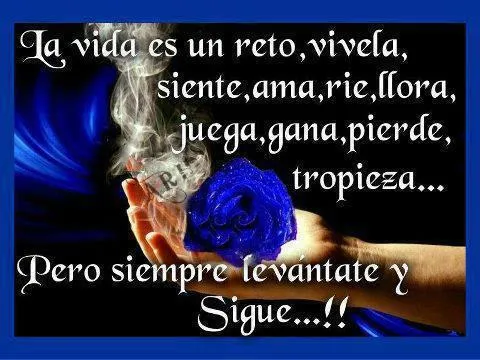 Imagenes chistosas para dar las buenas noches - Imagui Imagenes chistosas para dar las buenas noches - Imagui