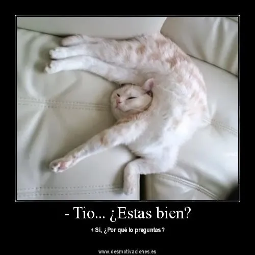 Imagenes chistosas para whatsapp - graciosas para reir y descargar ... Imagenes chistosas para whatsapp - graciosas para reir y descargar ...