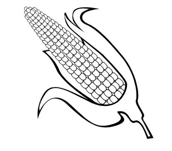PLANTA DE MAIZ para colorear - Imagui