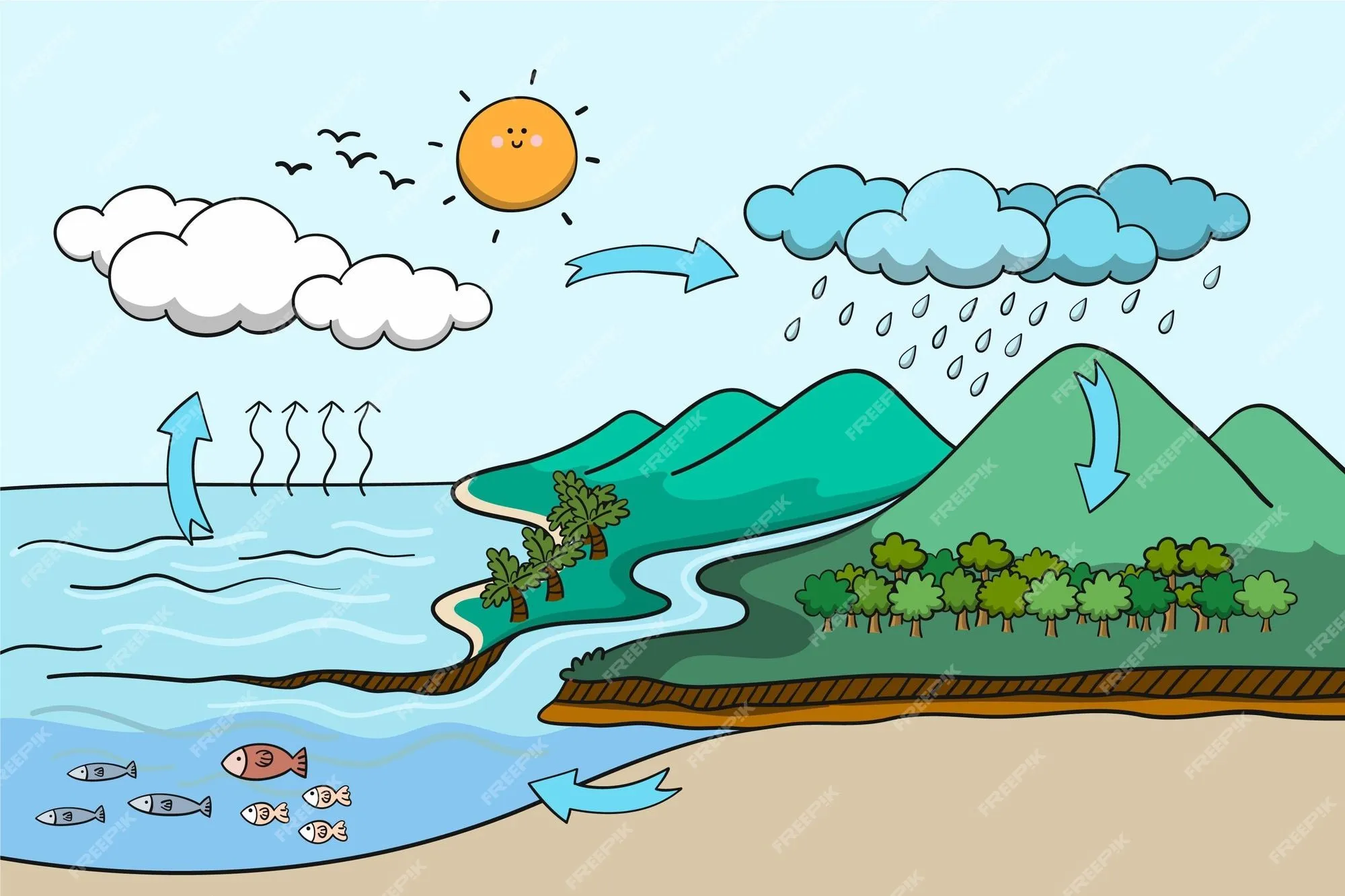 Imágenes de Ciclo Agua Dibujo - Descarga gratuita en Freepik Imágenes de Ciclo Agua Dibujo - Descarga gratuita en Freepik