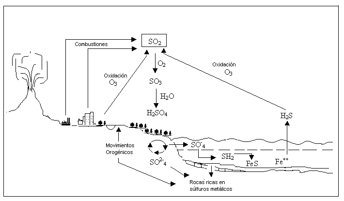 Ciclo de carbono para colorear - Imagui