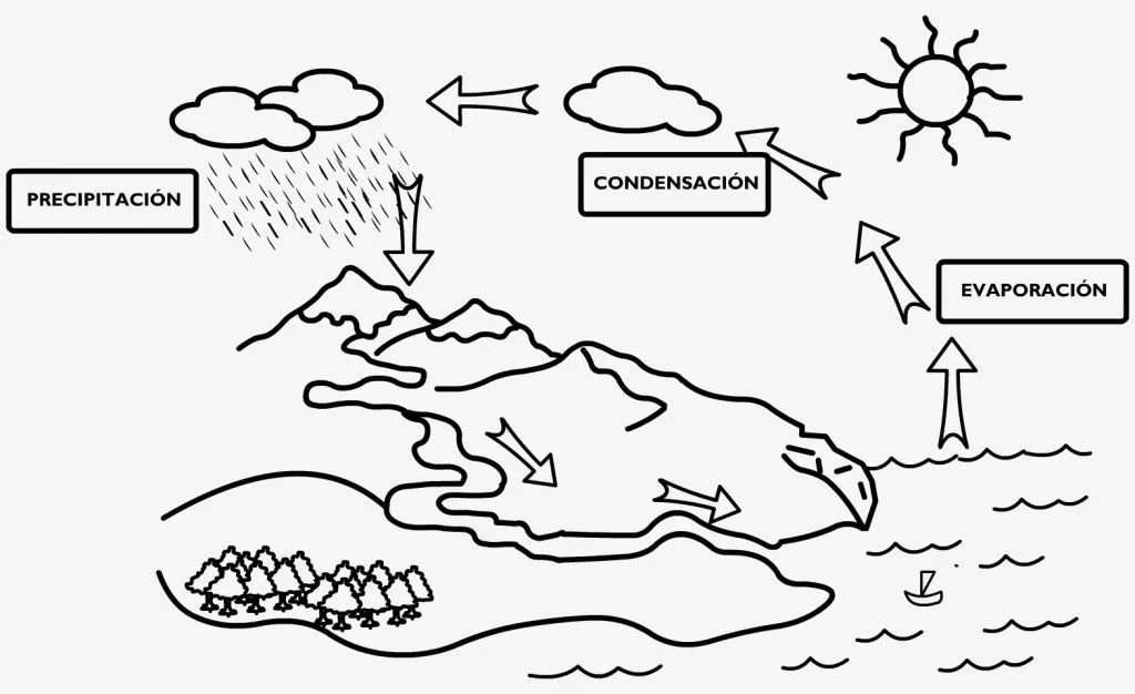 imágenes del ciclo hidrologico del agua para colorear e imprimir ... imágenes del ciclo hidrologico del agua para colorear e imprimir ...