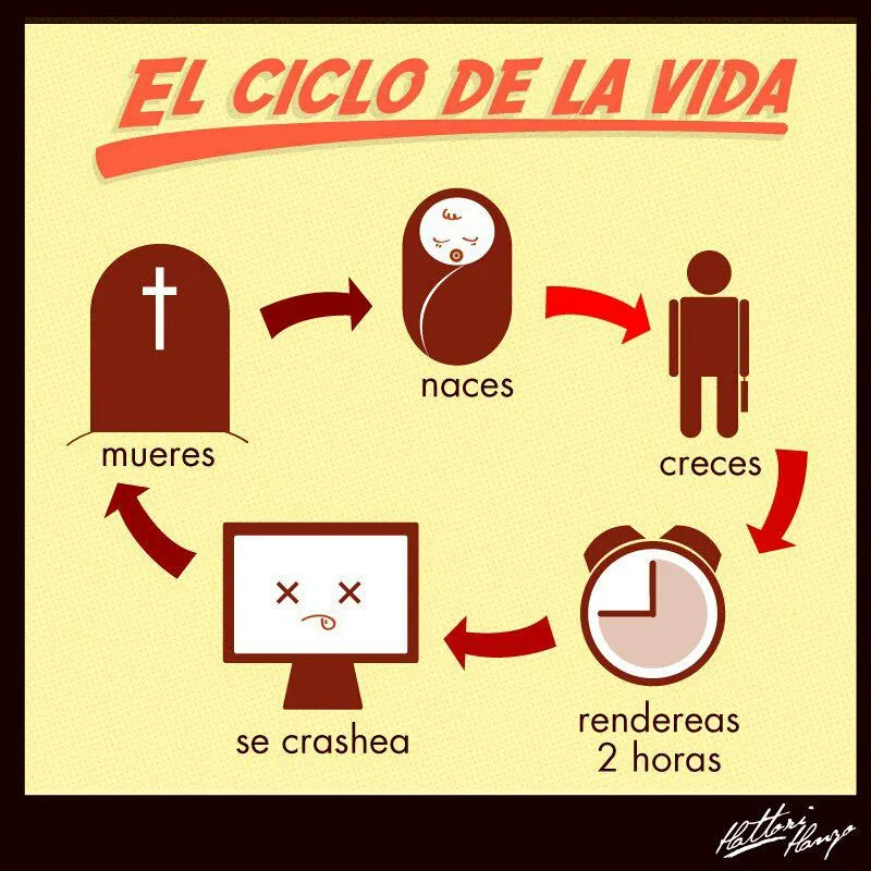 Finde de humor - El verdadero ciclo de la vida ~ PrimerBlog.net ... Finde de humor - El verdadero ciclo de la vida ~ PrimerBlog.net ...