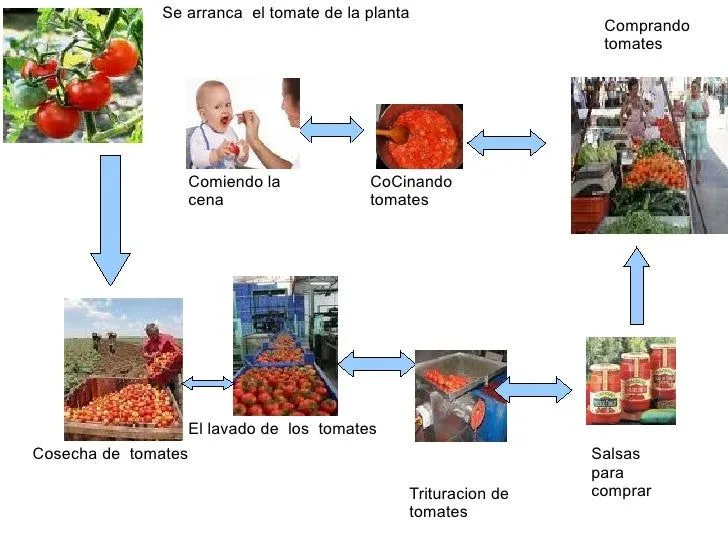 Imagenes de circuito productivo - Imagui