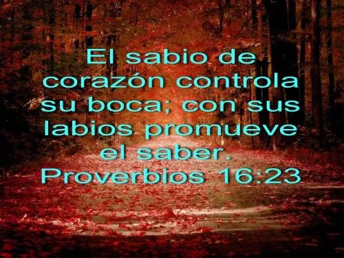 Imágenes de citas bíblicas-Proverbios. | Imagenes de Jesus - Fotos ...