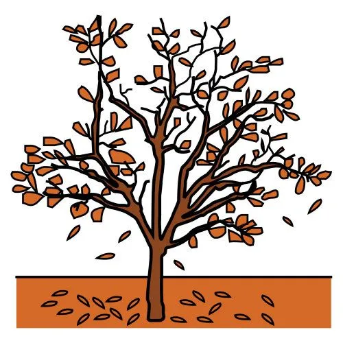 Menta Más Chocolate - RECURSOS PARA EDUCACIÓN INFANTIL: Imagenes a ... Menta Más Chocolate - RECURSOS PARA EDUCACIÓN INFANTIL: Imagenes a ...