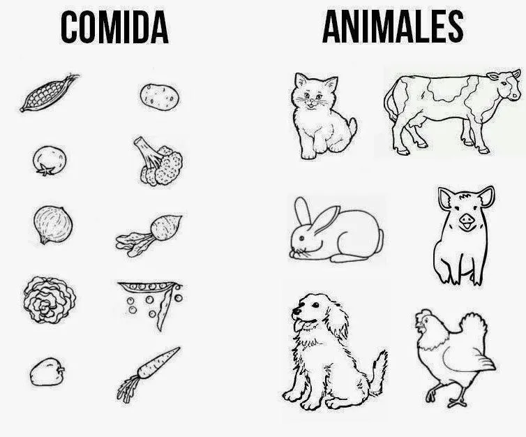 Imagenes para colorear de animales carnivoros hervivoros omnivoros ...