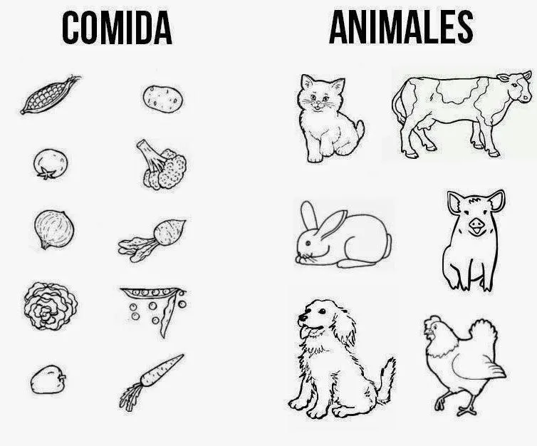 Imagenes para colorear de animales carnivoros hervivoros omnivoros ... Imagenes para colorear de animales carnivoros hervivoros omnivoros ...