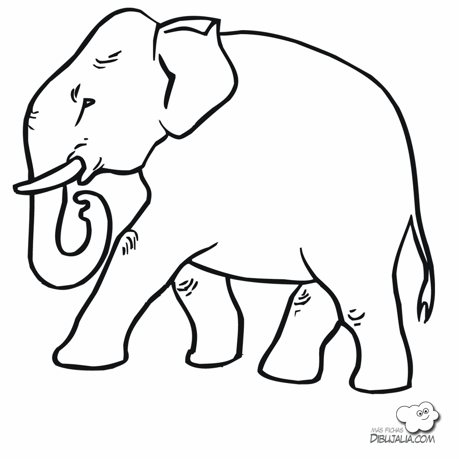Animales viviparos para colorear - Imagui