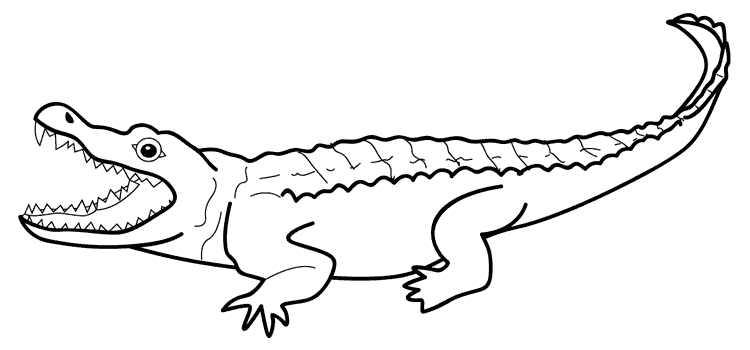 Dibujos de cocodrilos para colorear. Dibujos infantiles de ... Dibujos de cocodrilos para colorear. Dibujos infantiles de ...