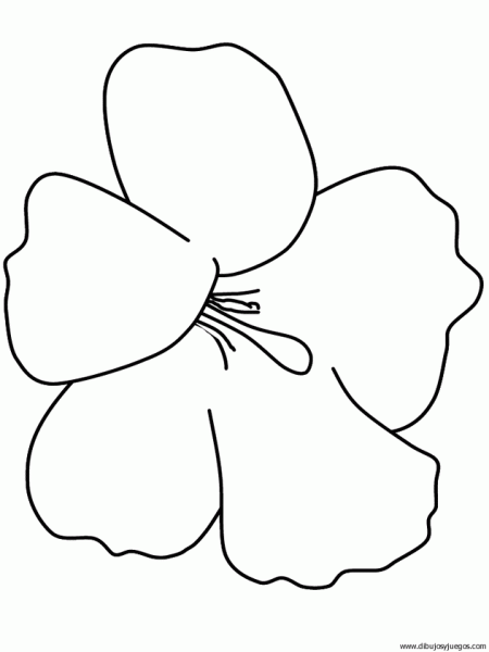 Imagenes para colorear de flor - Imagui