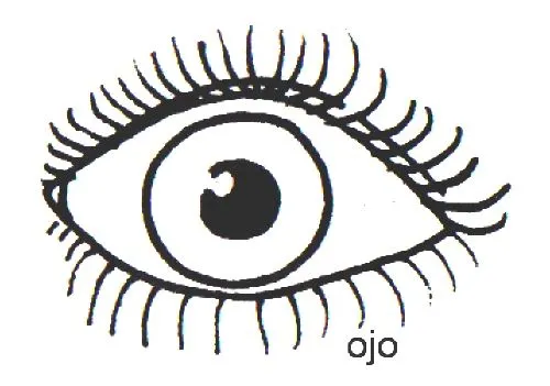 Imagenes para colorear el sentido de la vista - Imagui