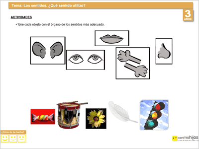 Organos de los sentidos para colorear para niños - Imagui Organos de los sentidos para colorear para niños - Imagui