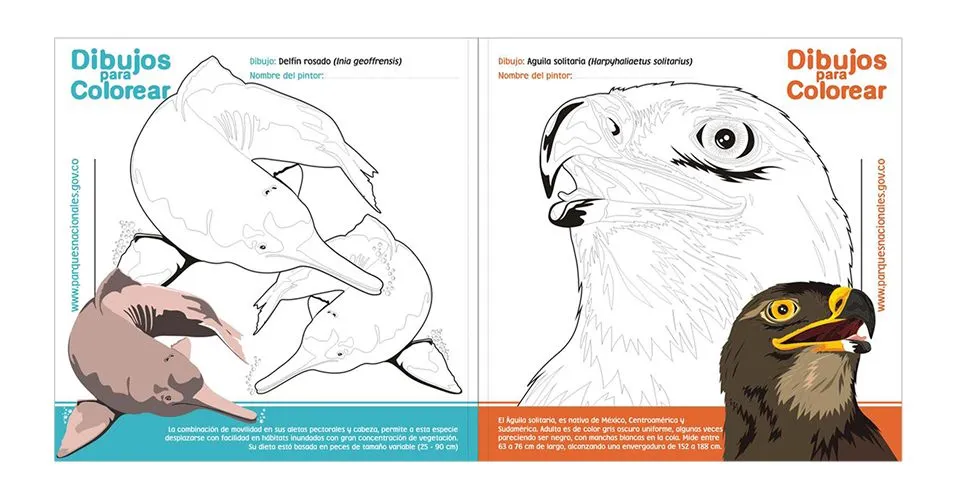 Imágenes para colorear | Parques Nacionales Naturales de Colombia