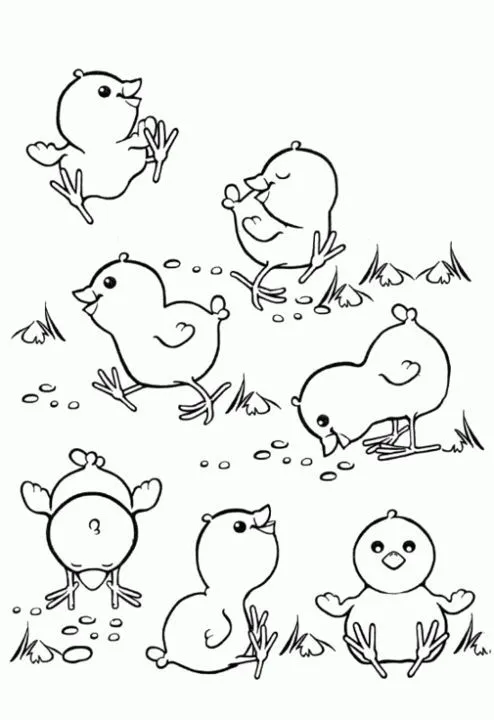 Imagenes-colorear-pollitos-4- ...