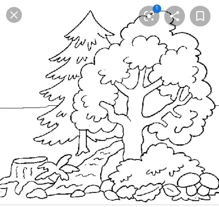imagenes para colorear de recursos naturales - Brainly.lat imagenes para colorear de recursos naturales - Brainly.lat