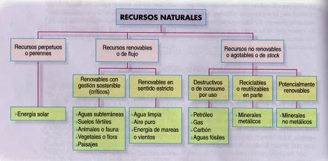 Imágenes para colorear de recursos naturales renovables - Imagui