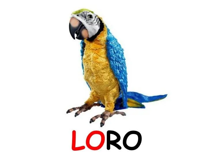 Imagenes que comiencen con letra l - Imagui Imagenes que comiencen con letra l - Imagui