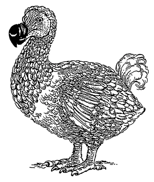Imágenes sin copyright de animales extintos Imágenes sin copyright de animales extintos