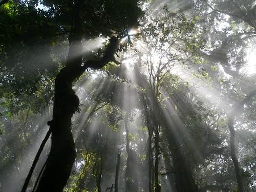 Imagenes De Corazones Para Descargar Con Movimiento Im Genes De ...