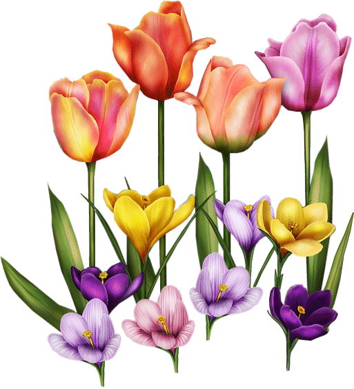 Imágenes Gif: MAS FLORES 2