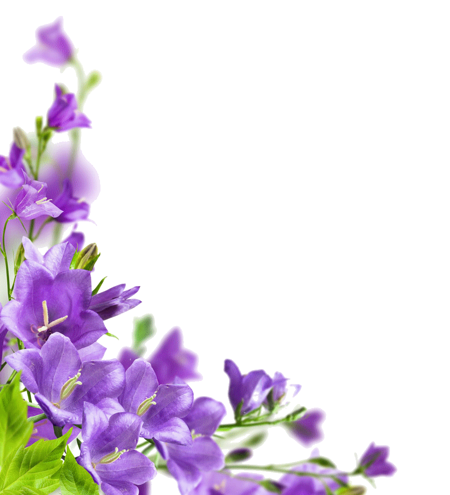 tubes de flores | Imágenes para Crear Firmas tubes de flores | Imágenes para Crear Firmas