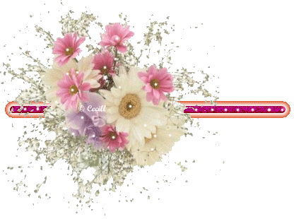 Barras y separadores: Flores
