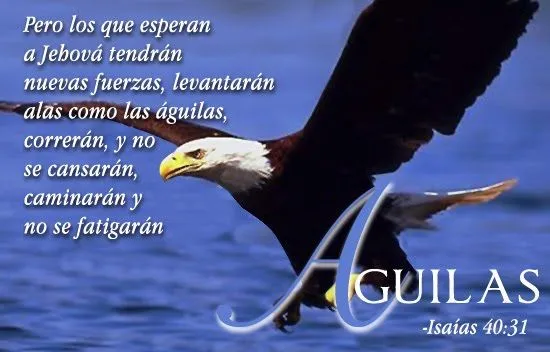 Imagenes cristianas aguilas - Imagui
