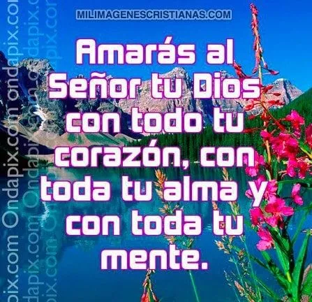 Imágenes Cristianas; Amarás a Dios con todo tu corazón Imágenes Cristianas; Amarás a Dios con todo tu corazón