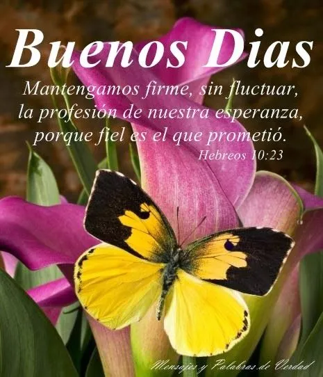 Mensajes y Palabras de Verdad: Buenos Dias. Imagenes con saludos ... Mensajes y Palabras de Verdad: Buenos Dias. Imagenes con saludos ...