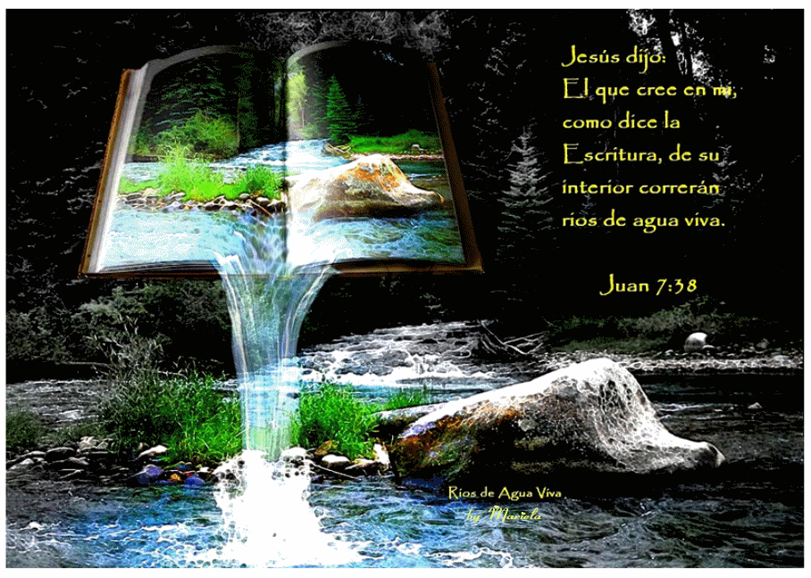 Imágenes Cristianas: Fondo de Escritorio-Biblia, Coronas y Cruces