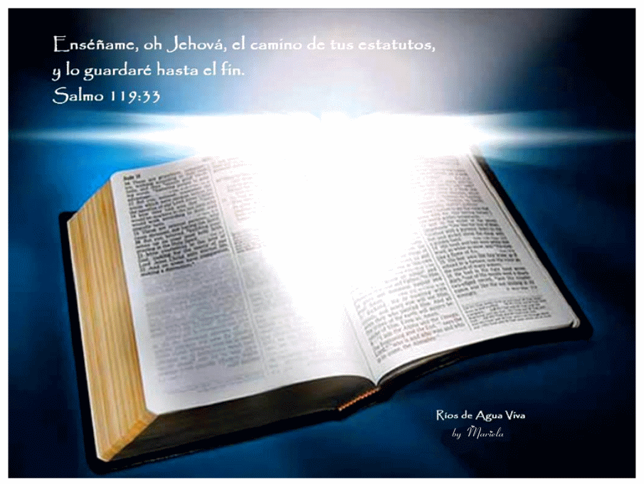 Imágenes Cristianas: Fondo de Escritorio-Biblia, Coronas y Cruces