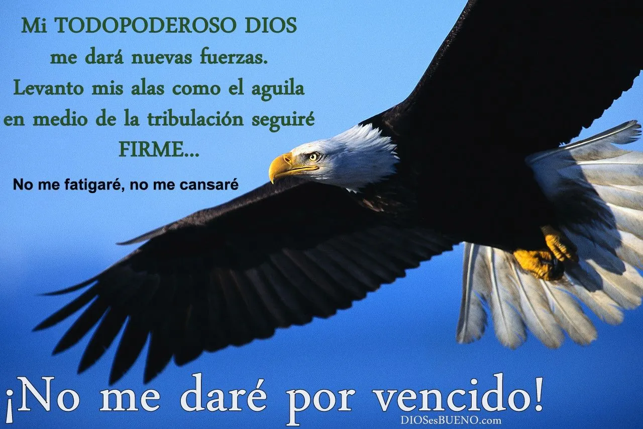 Imagenes cristianas con frases ~ Fotos e imagenes graciosas ... Imagenes cristianas con frases ~ Fotos e imagenes graciosas ...