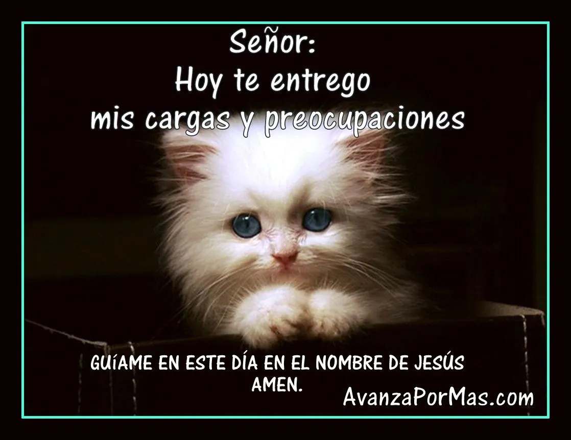 Imágenes Cristianas con frases: Frases biblicas para hoy Imágenes Cristianas con frases: Frases biblicas para hoy