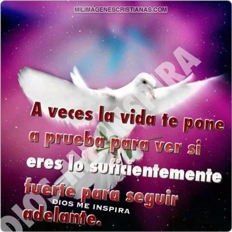 Imágenes Cristianas con frases de seguir adelante Imágenes Cristianas con frases de seguir adelante