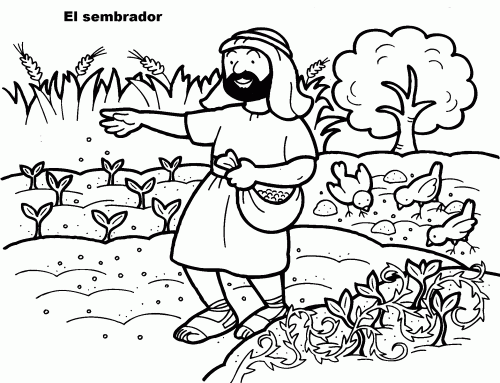 Imágenes cristianas-parábola del sembrador | Imagenes de Jesus ...